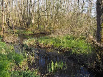 Kalkense Meersen (België)